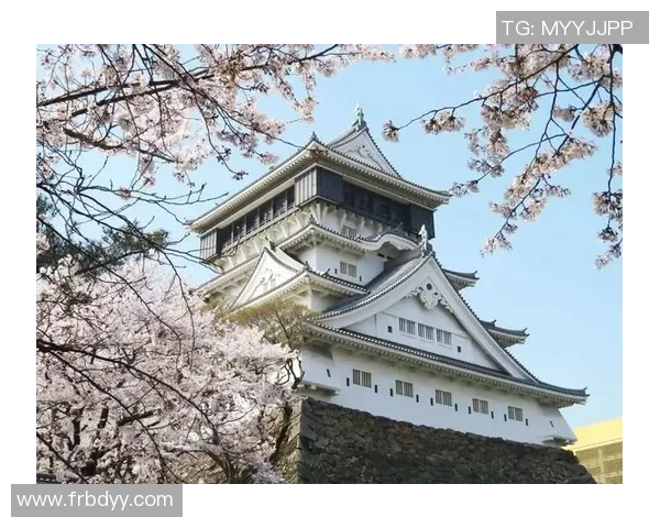 京都与北九州的文化碰撞与旅游魅力探秘之旅