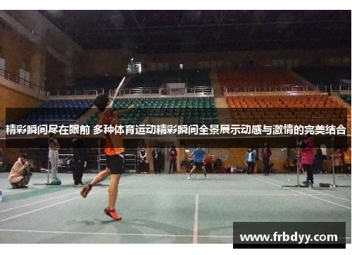 精彩瞬间尽在眼前 多种体育运动精彩瞬间全景展示动感与激情的完美结合