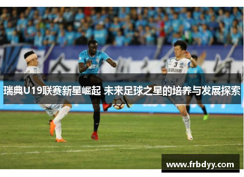 瑞典U19联赛新星崛起 未来足球之星的培养与发展探索