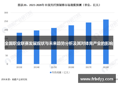 全国职业联赛发展现状与未来趋势分析及其对体育产业的影响